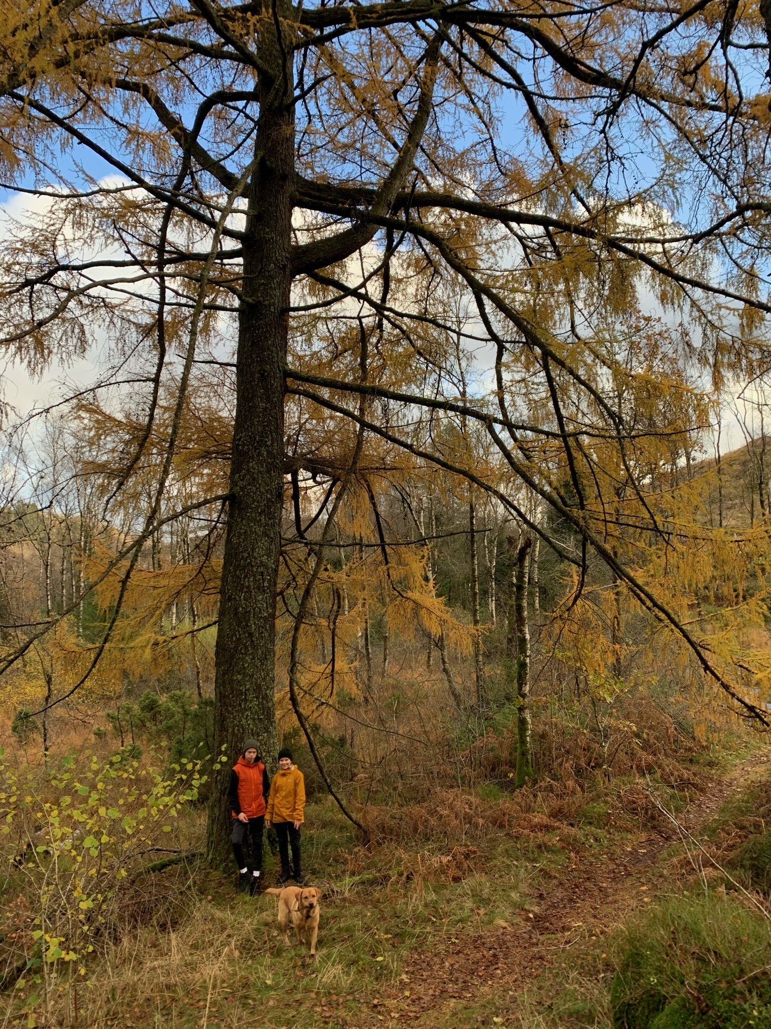 B4DF813D A609 4747 956A 27E1D6B0567A