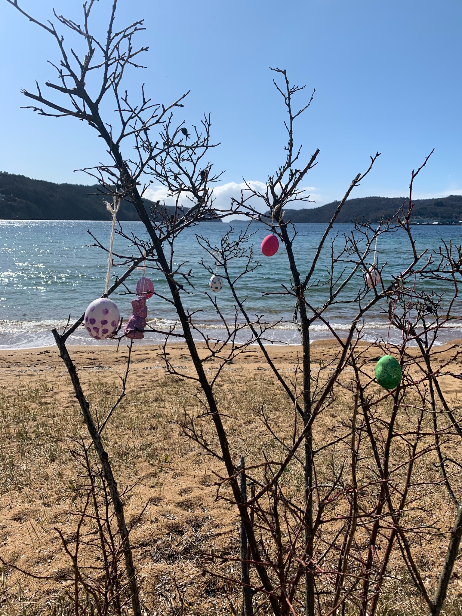 07D6F160 8C01 459B BEEF C68F65A2CFA1