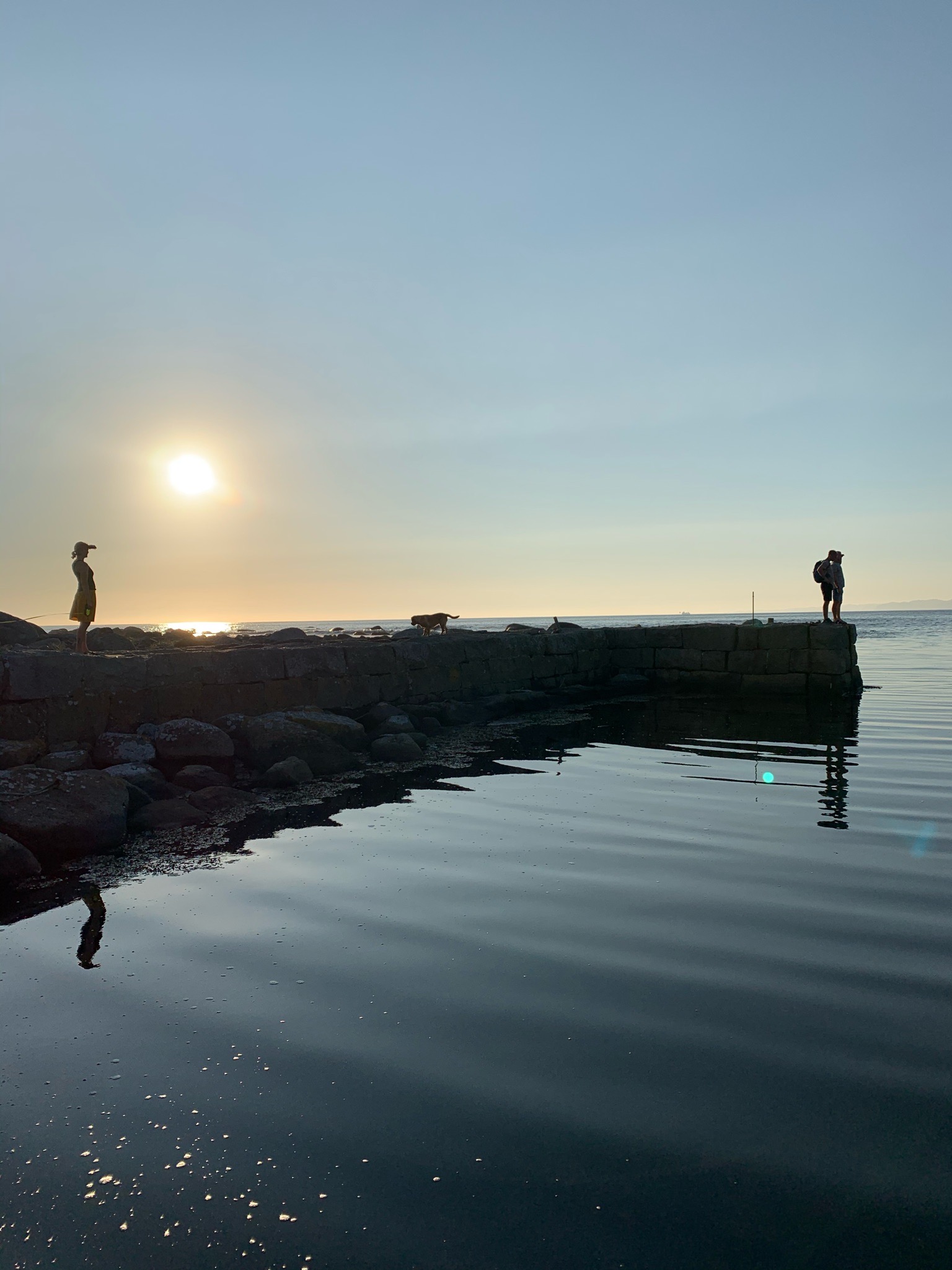 95103C7D AB5A 43EA AECE F5BC636D74B2