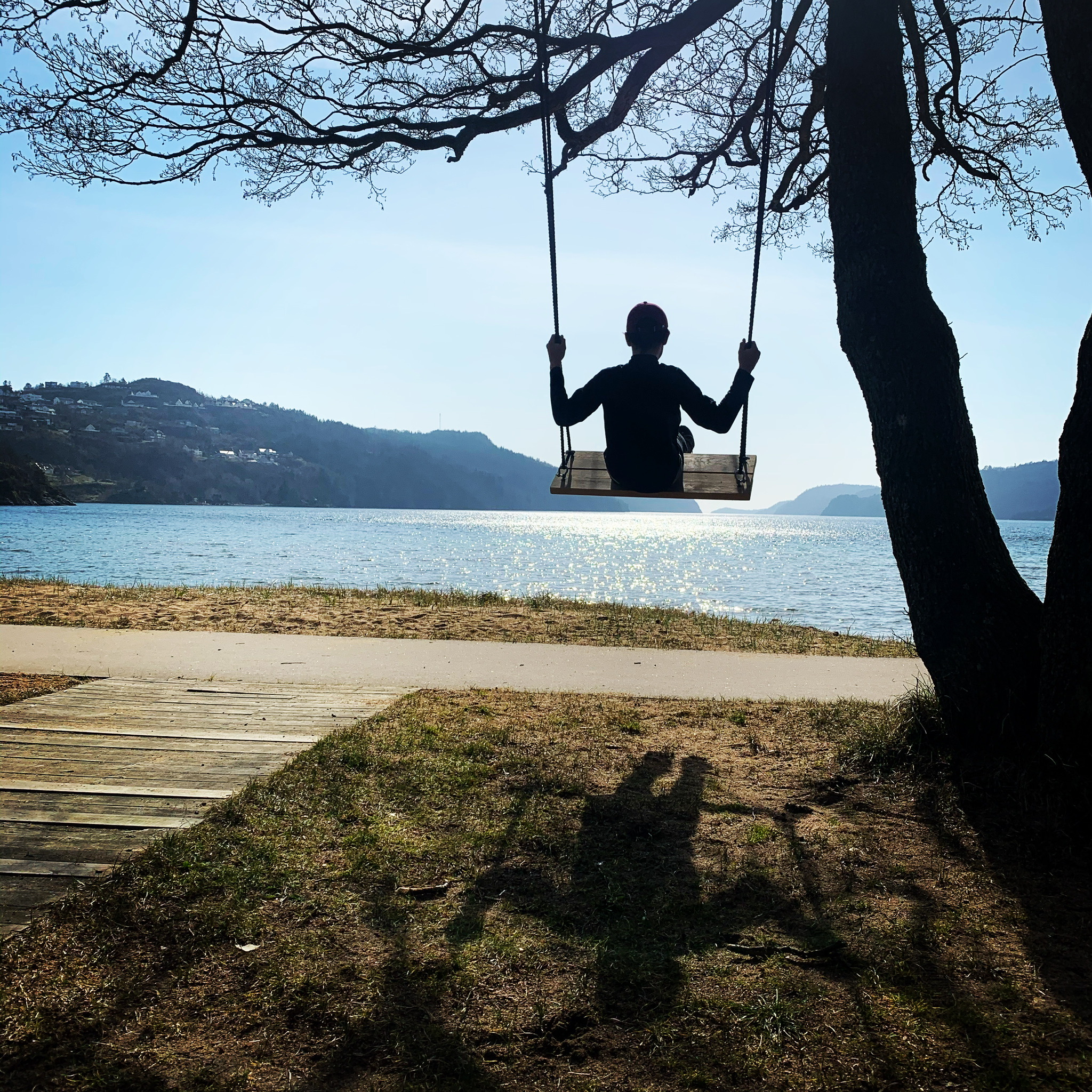 1186595F 1B3B 4E1C 80E8 6450FE6F8061