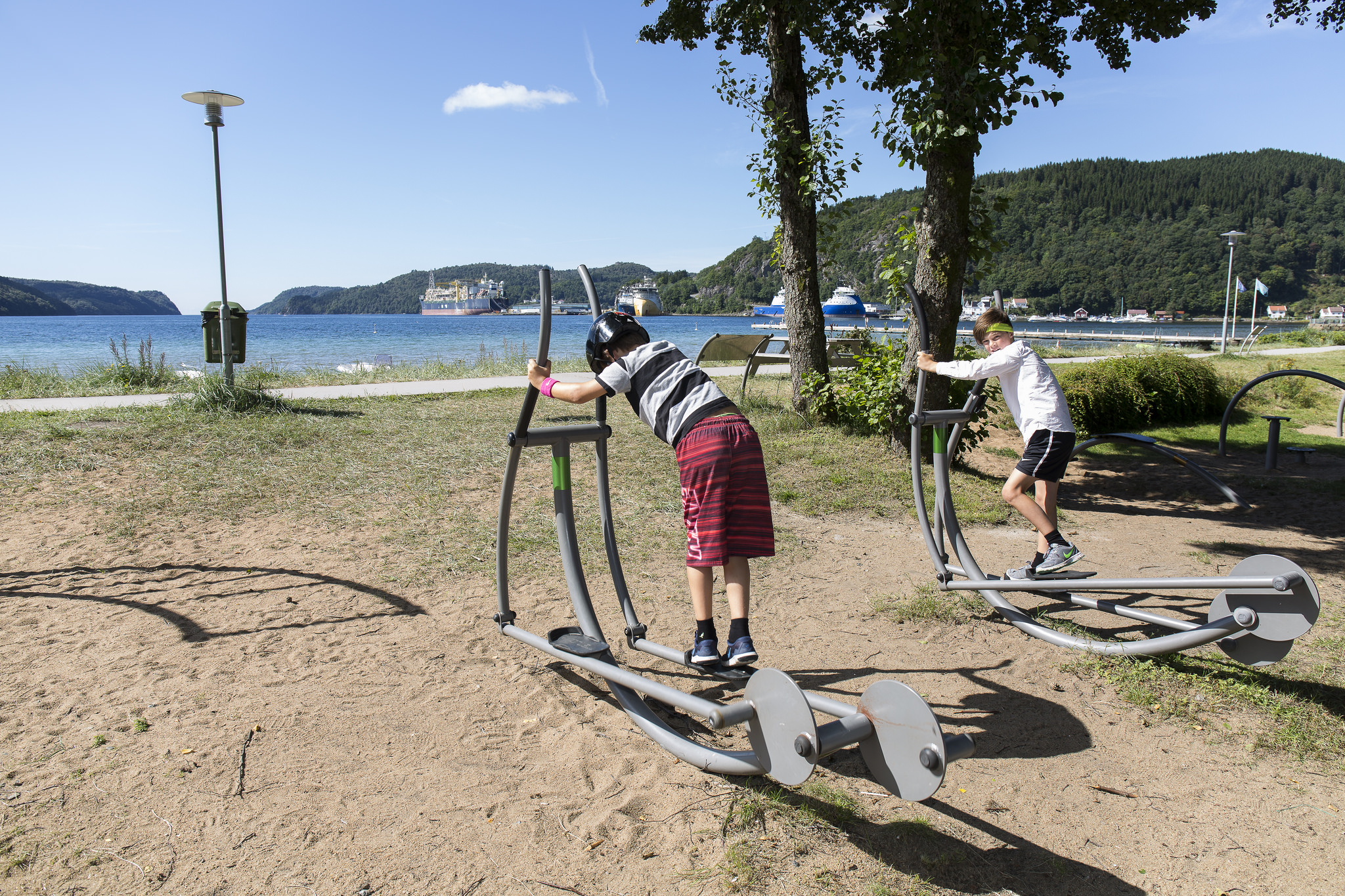 29154390335 79A5b1d1a7